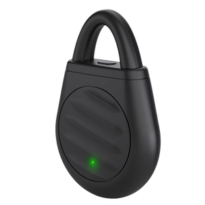 Pocket Ultrasonic Bird Repeller with 3 Modes & USB-C