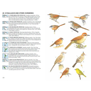 Birds of South America: Passerines (Princeton Illustrated Checklists)