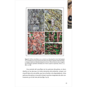 Moths of Colombia: Field Guide