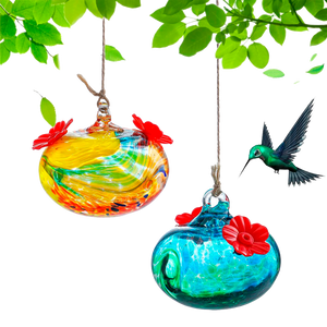 Hummingbirds Feeders 2 Pack
