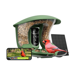 Birdfy Smart Bird Feeder 2 with Camera Night Vision and AI Bird Recognition