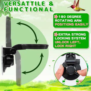 Handheld Hummingbird Feeders with Perch (Set of 2) with Window Mount Suction Cup 