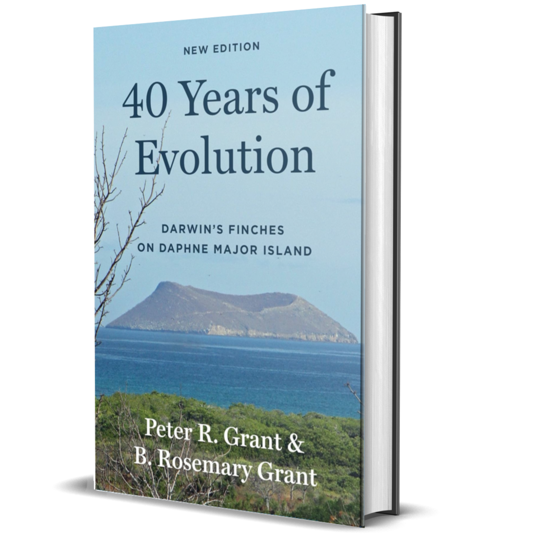40 Years of Evolution: Darwin's Finches on Daphne Major Island