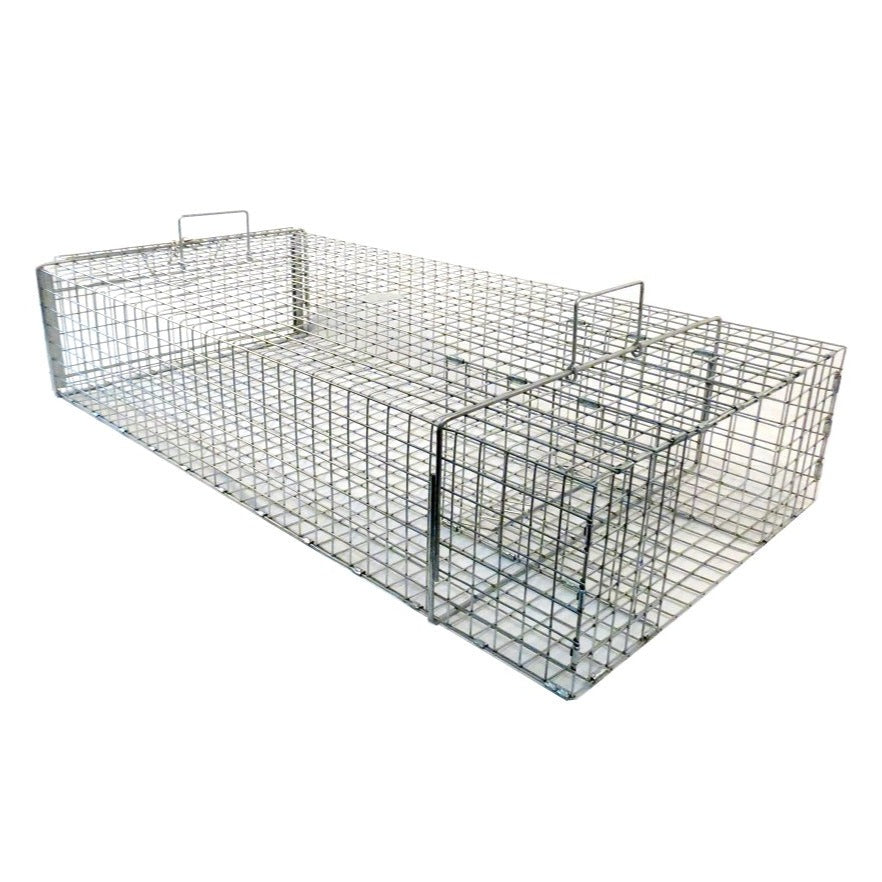 Tomahawk trap for Iguanas