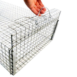 Tomahawk trap for Iguanas