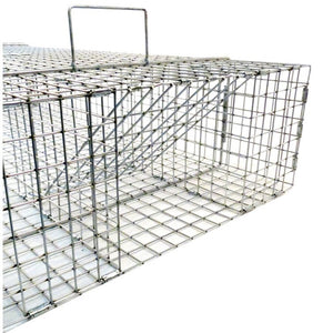 Tomahawk trap for Iguanas