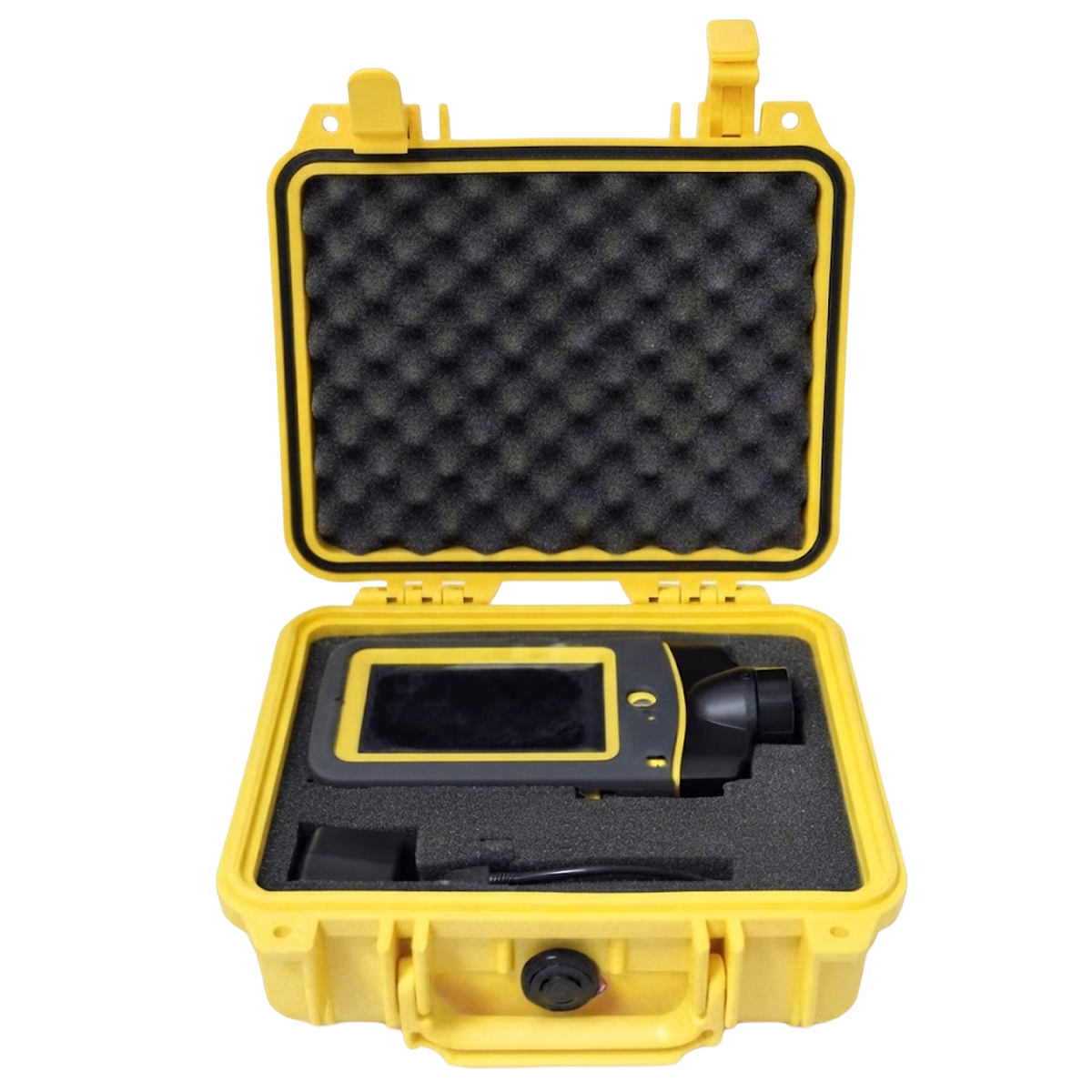 Pelican Carrying Case for Detector and Accessories