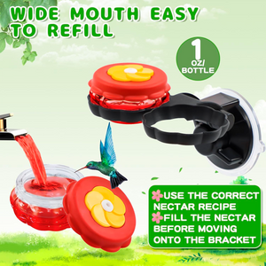 Handheld Hummingbird Feeders with Perch (Set of 2) with Window Mount Suction Cup 