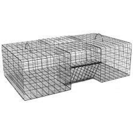 Extra Large Pigeon Trap with One Trap Door