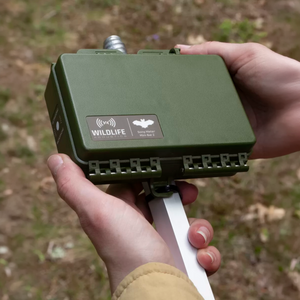 Wildlife Acoustics Song Meter Mini Bat 2 AA Ultrasonic and Acoustic Recorder