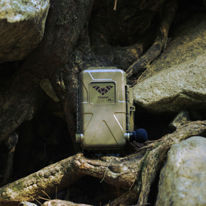 Chorus Dual-Channel Bioacoustic Recorder with GPS