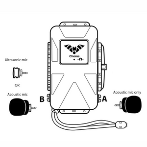 Chorus Dual-Channel Bioacoustic Recorder with GPS