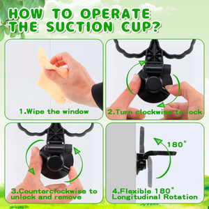 Handheld Hummingbird Feeders with Perch (Set of 2) with Window Mount Suction Cup 