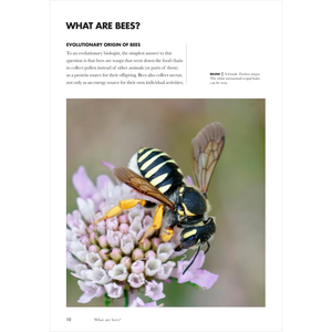 Bees of the World: A Guide to Every Family