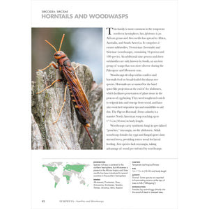 Wasps of the World: A Guide to Every Family