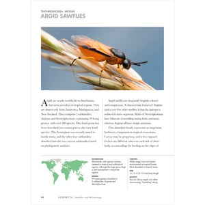 Wasps of the World: A Guide to Every Family