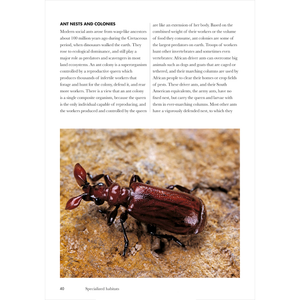 Beetles of the World: A Natural History