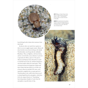 Beetles of the World: A Natural History