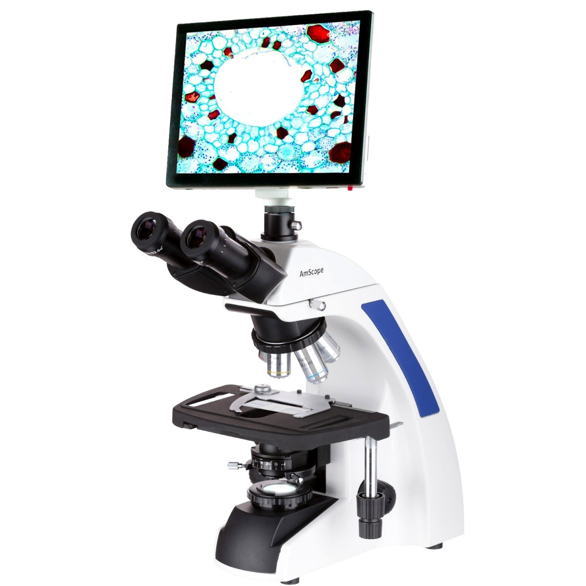 AmScope Compound Microscope 40X–2500X with Touchscreen LCD Display