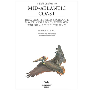 A Field Guide to the Mid-Atlantic Coast: Including the Jersey Shore, Cape May, Delaware Bay, the Delmarva Peninsula, and the Outer Banks