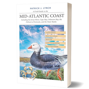 A Field Guide to the Mid-Atlantic Coast: Including the Jersey Shore, Cape May, Delaware Bay, the Delmarva Peninsula, and the Outer Banks