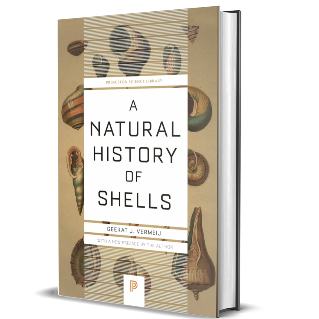 A Natural History of Shells