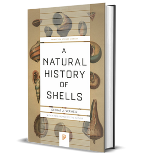 A Natural History of Shells - BIOWEB USA