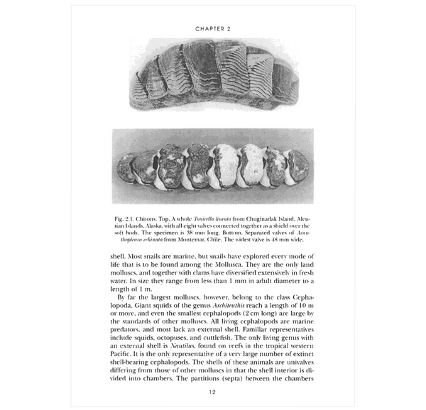 A Natural History of Shells ²⁶ - BIOWEB USA