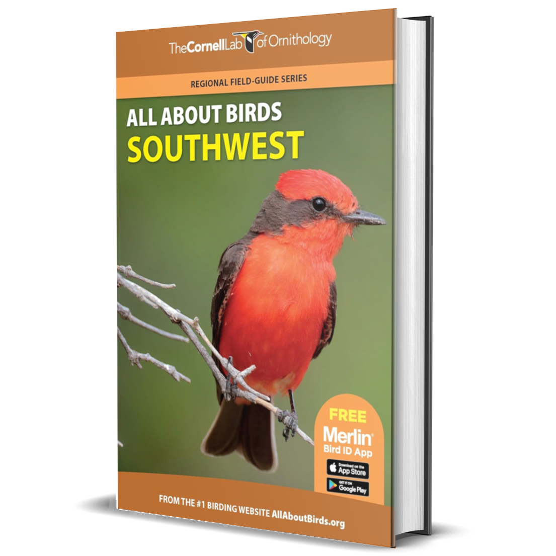 All About Birds Southwest