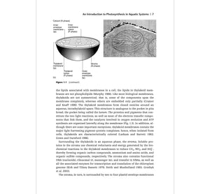 Aquatic Photosynthesis: Second Edition