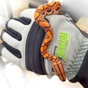 ArmOR Hand Protective Gloves 