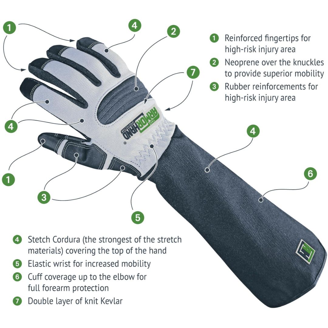 Hand Protection Padded ArmOR Hand Protective Gloves ²⁵ - BIOWEB USA