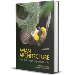 Avian Architecture Revised and Expanded Edition: How Birds Design, Engineer, and Build