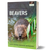 Beavers: Ecology, Behaviour, Conservation, and Management