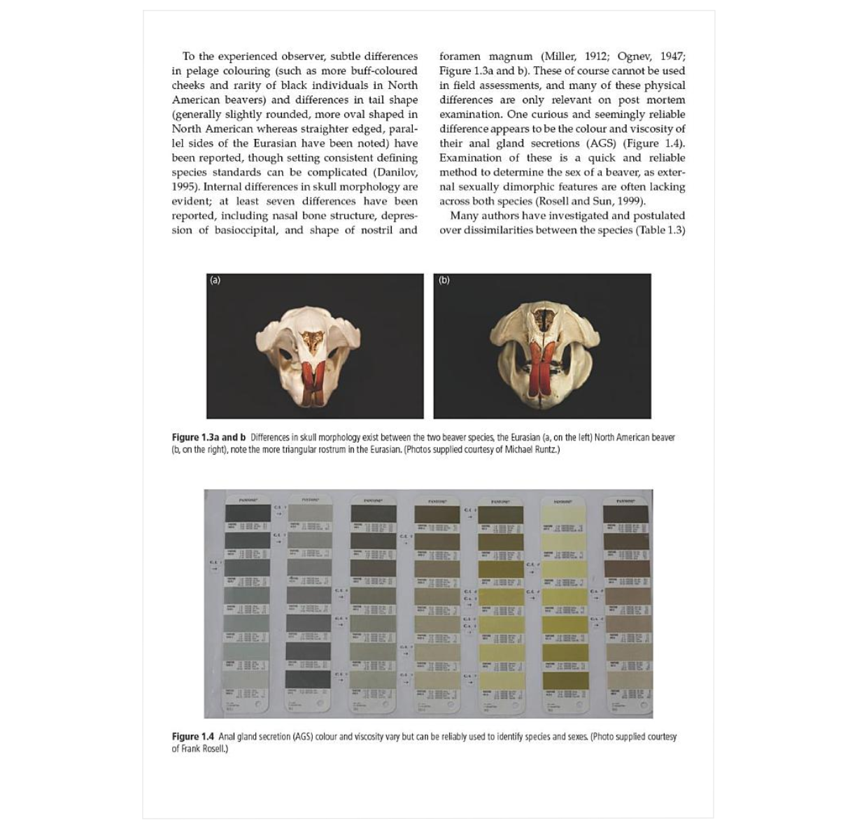 Bioweb Jensen Beavers: Ecology, Behaviour, Conservation, and Management - BIOWEB USA