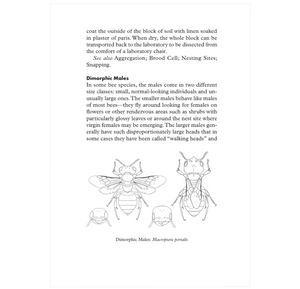 Beepedia: A Brief Compendium of Bee Curiosities