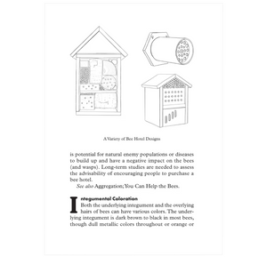 Beepedia: A Brief Compendium of Bee Curiosities