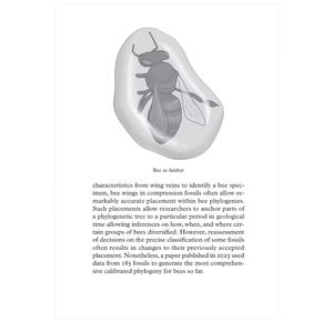 Beepedia: A Brief Compendium of Bee Curiosities