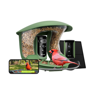 Birdfy Smart Bird Feeder 2 with Camera Night Vision and AI Bird Recognition