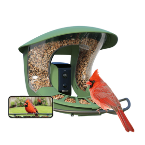 Birdfy Smart Bird Feeder 2 with Camera Night Vision and AI Bird Recognition