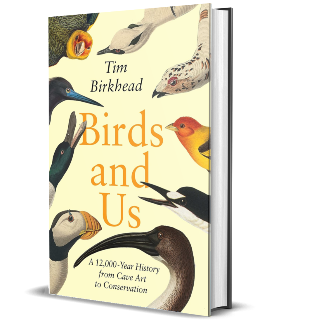 Birds and Us: A 12,000-Year History from Cave Art to Conservation