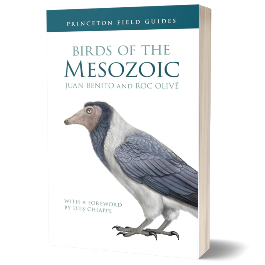 Birds of the Mesozoic 