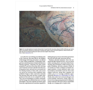 Carnivoran Ecology: The Evolution and Function of Communities