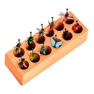 Pin Holder x 12 Holes 