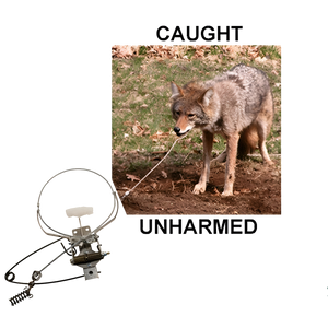 Collarum Humane Canine Capture Devices