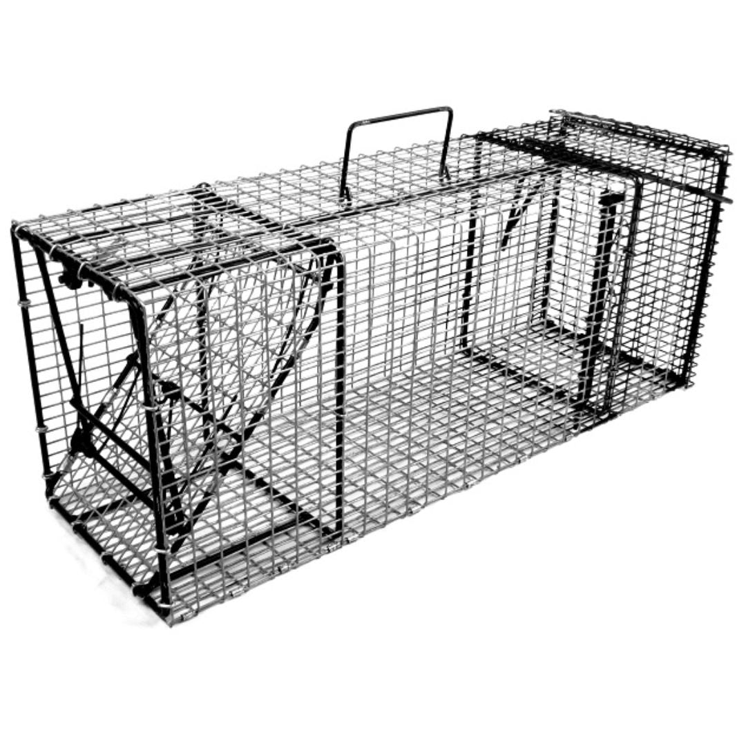 Comstock Single Door 9x11 Traps With Rear Bait Door