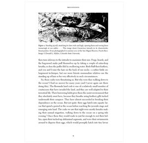 Coral Reefs: Majestic Realms under the Sea