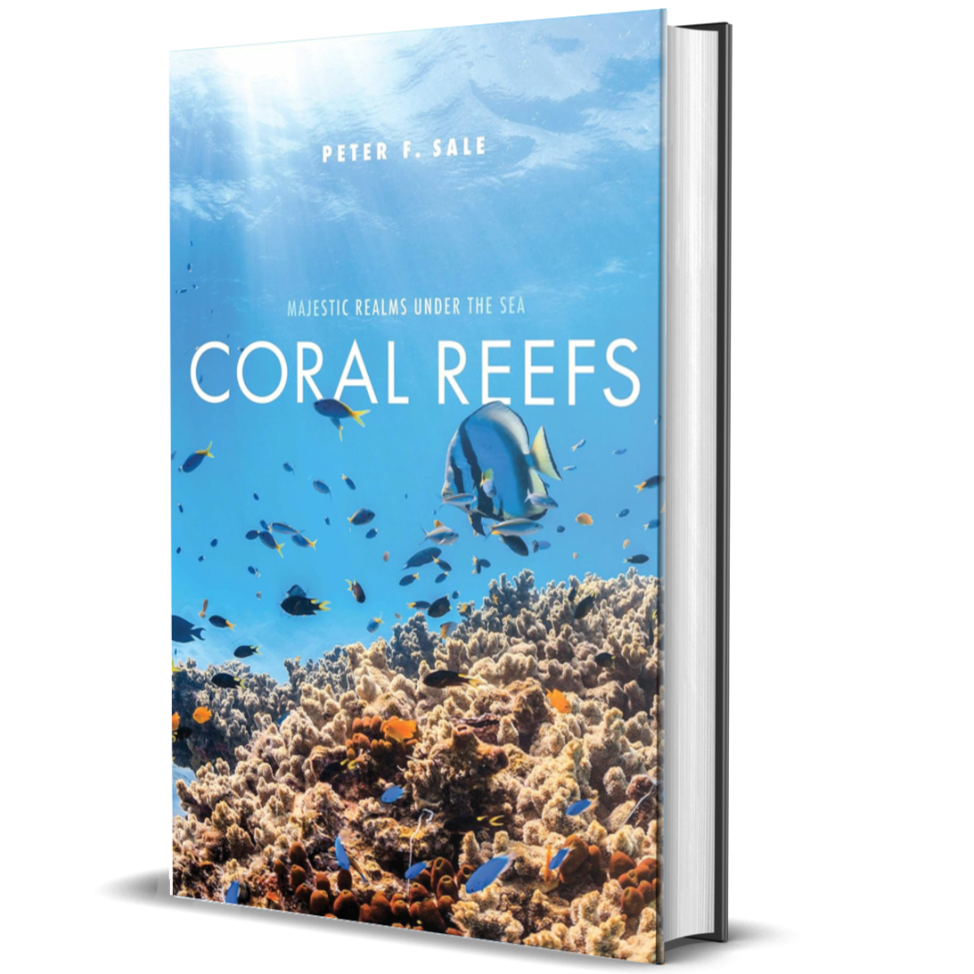 Coral Reefs: Majestic Realms under the Sea