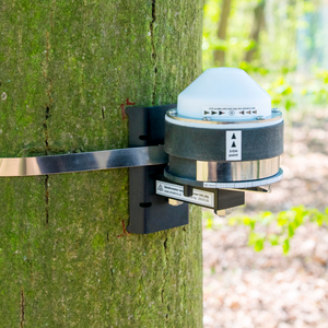 Band Dendrometer for Large Trees EMS DRS26