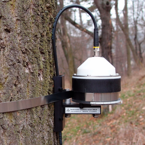 Band Dendrometer for Large Trees EMS DRS26